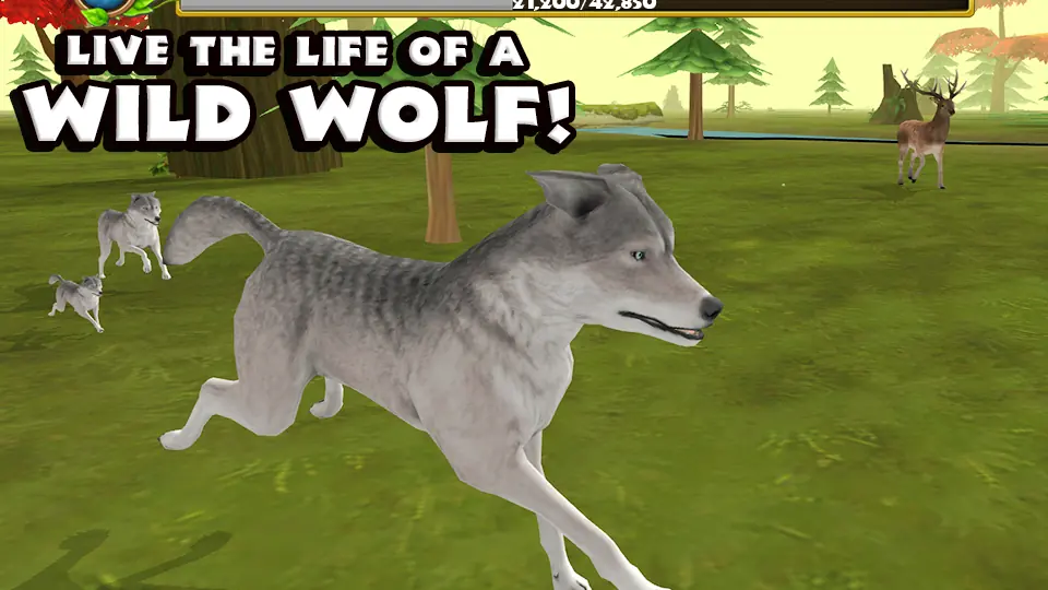 Wildlife Simulator: Wolf gameplay screenshot